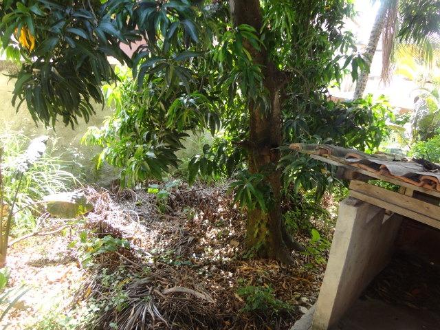 Casa Linear 4qts com terreno em Jardim Meriti próximo a Prefeitura - Foto 20