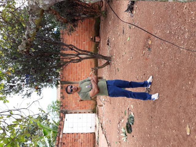 Lote - Foto 4