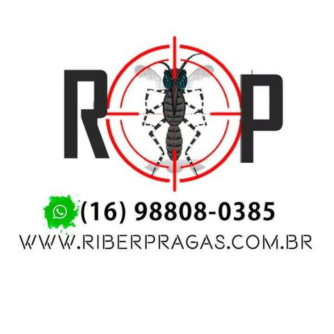 RiberPragas Dedetizadora - Foto 3