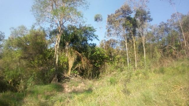 Atenção !! Deu a louca no proprietário de 10mil m2 por 70 mil - Foto 11