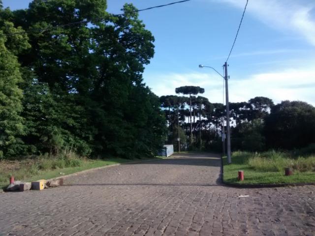 Terenos em ótima localização - Foto 6