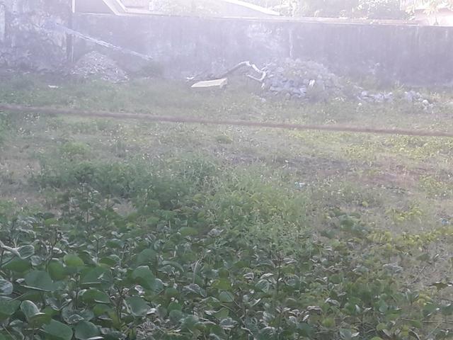 Terreno de esquina Comercial/Residencial med. 1420 m2 na Coroa do Meio - Foto 14