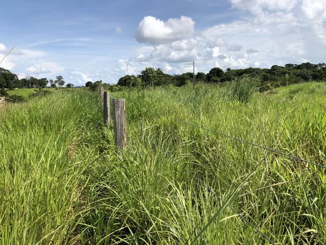 Fazenda Medindo 257,00 ha (Documentada, Apta a fazer financiamentos) - Foto 12
