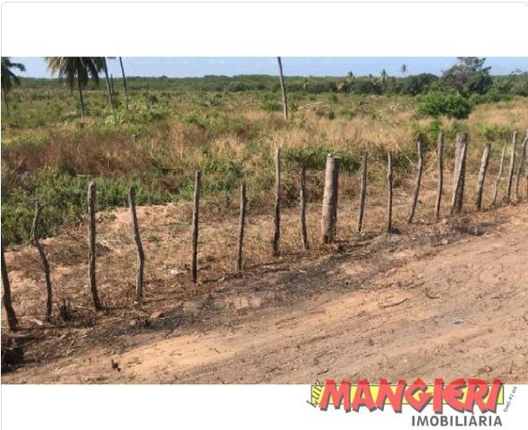 10 tarefas próximo ao Entrocamento Barra - Foto 2