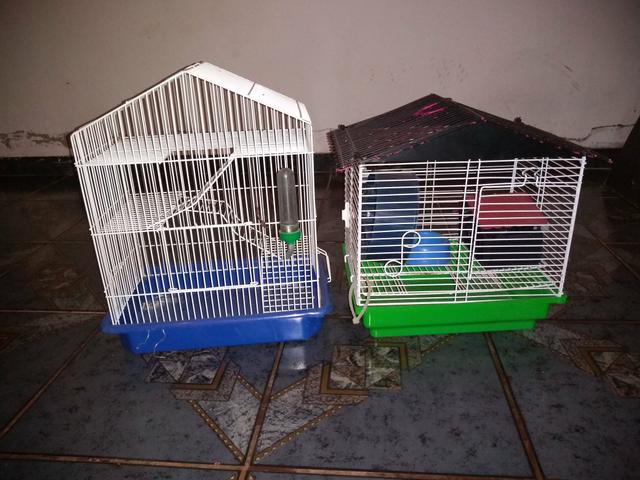 Gaiola de hamster