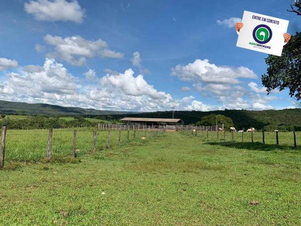 Fazenda 1.040 ha acorizal - Foto 13