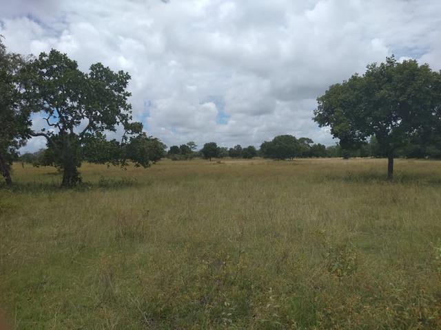 Propriedade Rural de 548 hectares de Mata e Cerrado - Foto 3