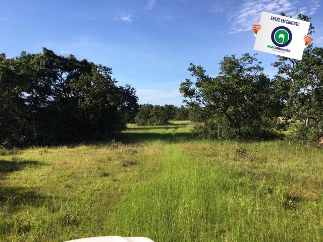 Fazenda em nossa senhora do livramento - Foto 8