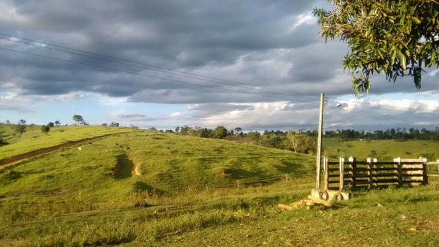 Fazenda a venda no extremo sul da bahia 170 ha - Foto 7