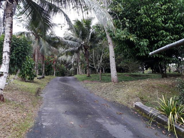 Sítio estrada do Vivenda Verde com casa e loja de material de construção - Foto 3
