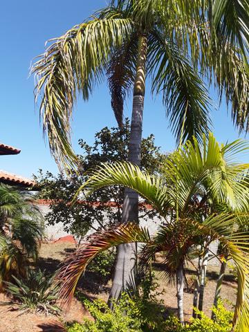 Casa em condomínio Ponte Alta - Foto 7