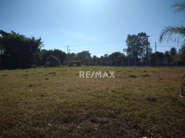 Imóvel comercial a venda no espigão - Foto 14