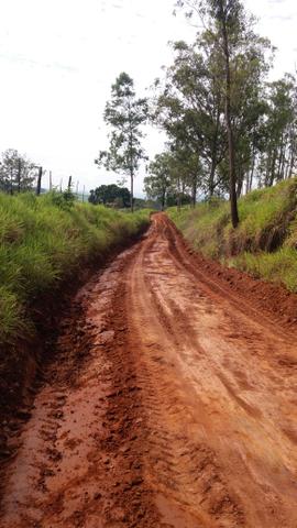 Fazenda Agricultura e Pecuária-Completa Arrendamento - Foto 9