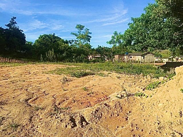 Lotes no Alto Aririu - Foto 3