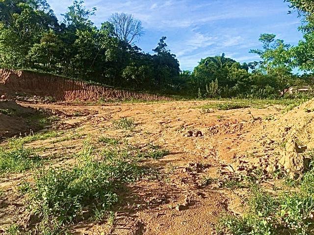 Lotes no Alto Aririu - Foto 4