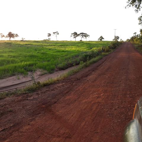 Fazenda centro sul do Maranhão - Foto 4
