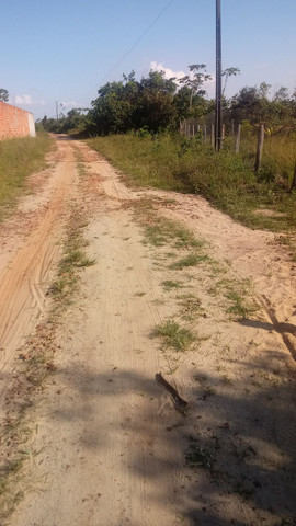 Terreno/ chácara- castanhal-PA - Foto 6