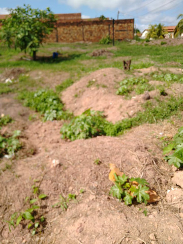 Terreno de esquina de em Castanhal