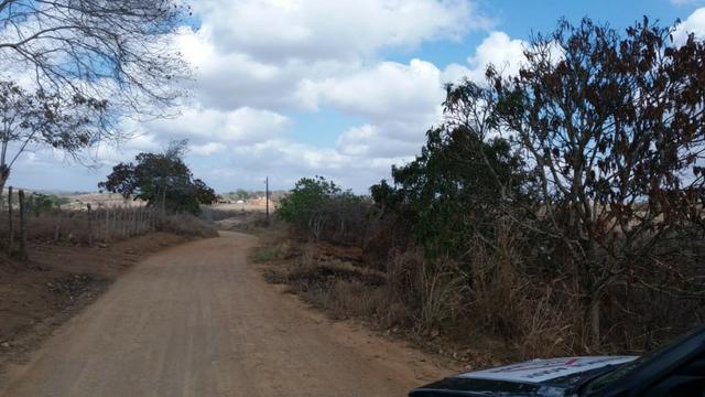 Ótima propriedade, escriturada, de 6 hectares, rica em frutas, em Glória do Goitá-PE - Foto 19