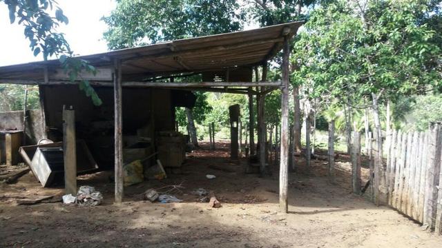 Cidade ilhéus região Japu, Sitio 72 hectares - Foto 5