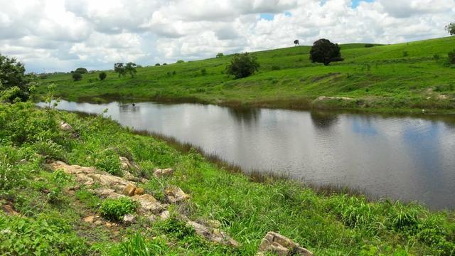 Fazenda com 170 hectares na região de monte alegre