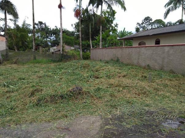 Terreno à venda, 260 m² por R$ 40.000 - Sítio do Campo - Morretes/PR - Foto 6
