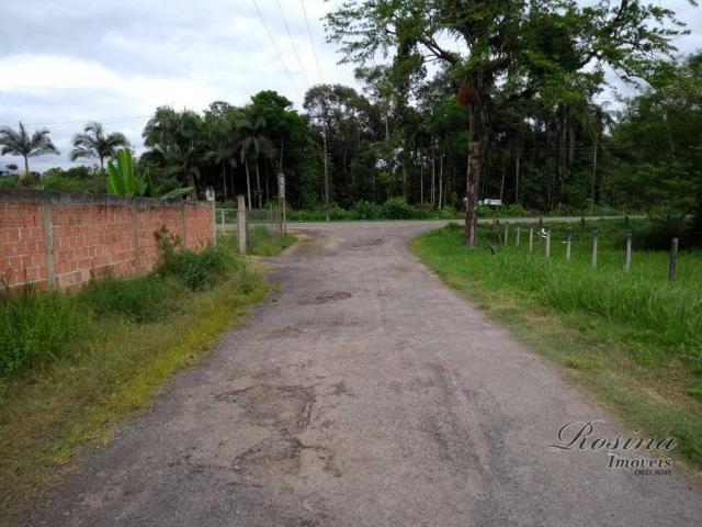 Terreno à venda, 260 m² por R$ 40.000 - Sítio do Campo - Morretes/PR - Foto 2