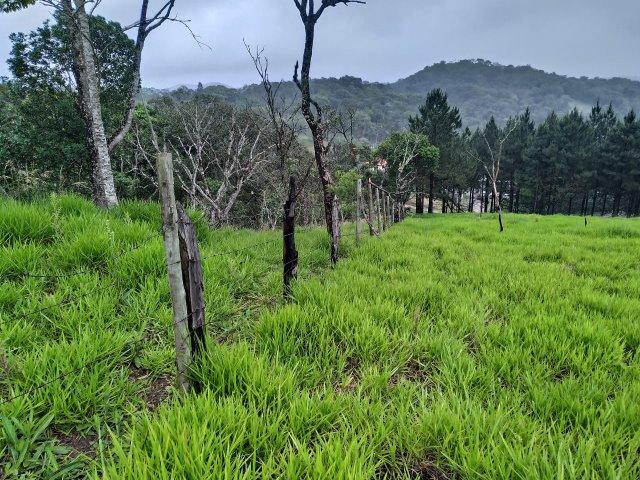 Terreno 40.000m2 em Juquitiba/SP para loteamento - Foto 8