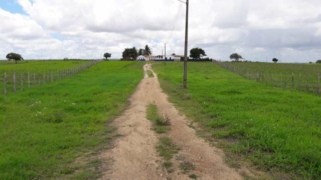 Fazenda com 170 hectares na região de monte alegre - Foto 4