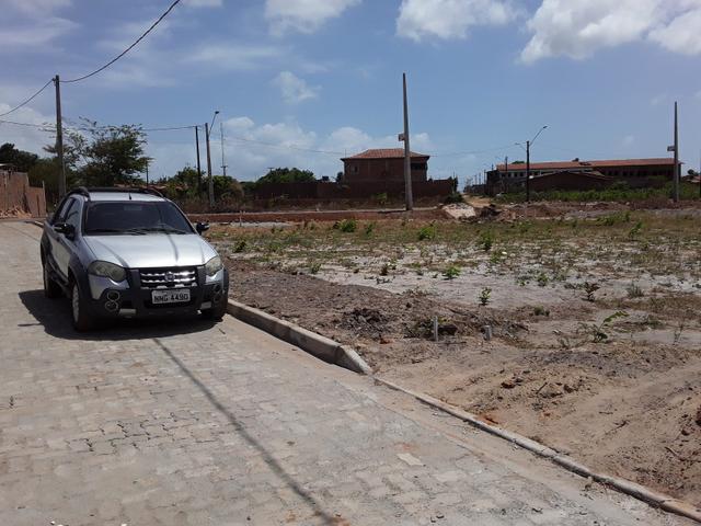 Lotes no morada do bosque