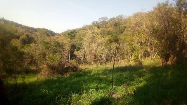 Atenção !! Deu a louca no proprietário de 10mil m2 por 70 mil - Foto 2