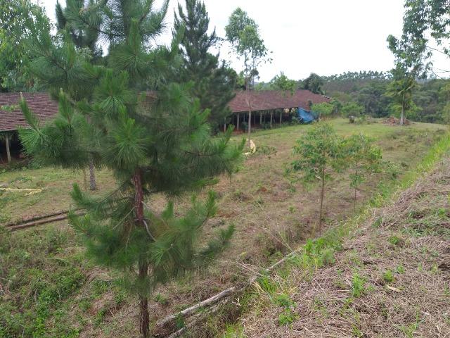 Permuta terreno para chacrinha de 6 mil medindo 30 x 200 de fundos - Foto 13