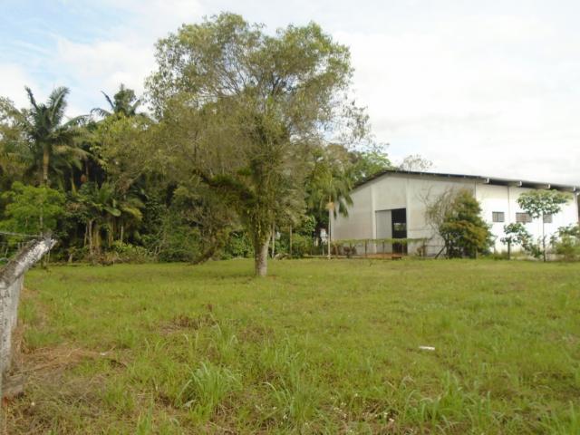 Terreno para alugar em Pirabeiraba, Joinville cod:00444.008 - Foto 3