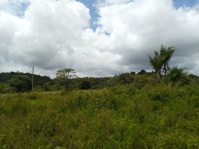 Terreno em Bonito - Foto 2