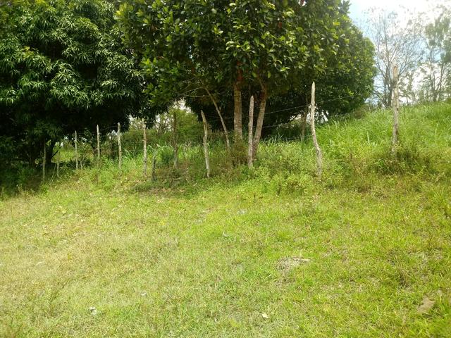 Terreno - Foto 2