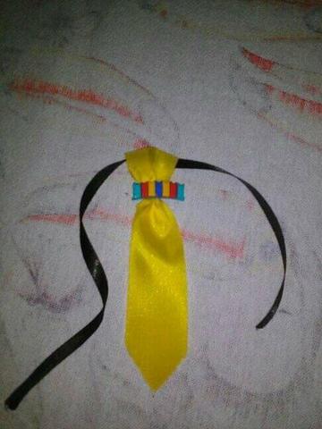 Gravatinha - Foto 2