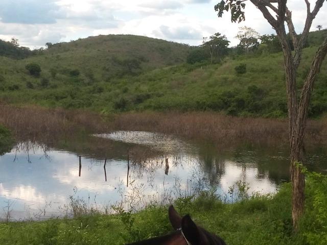 Mundo Novo Fazenda - Foto 13