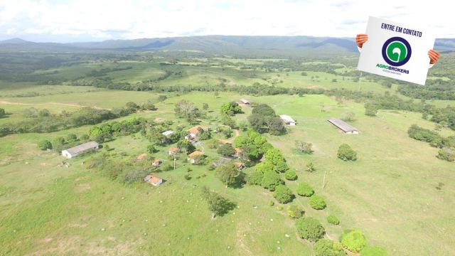 Fazenda 1.040 ha acorizal - Foto 4