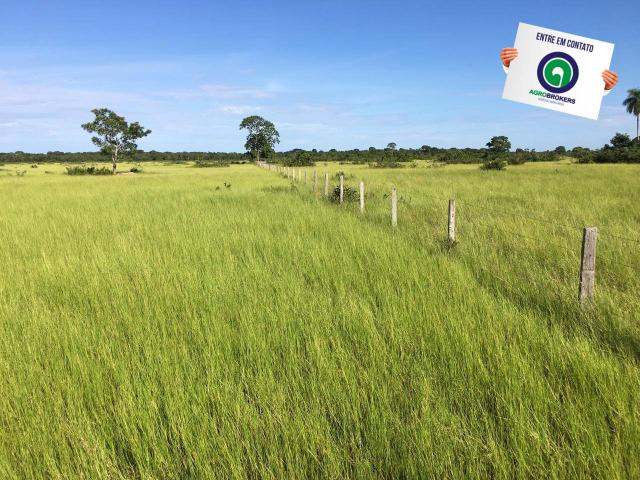 Fazenda em nossa senhora do livramento - Foto 7