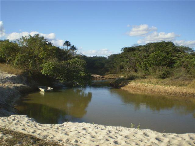Fazenda dupla aptidão Arinos MG - Foto 7