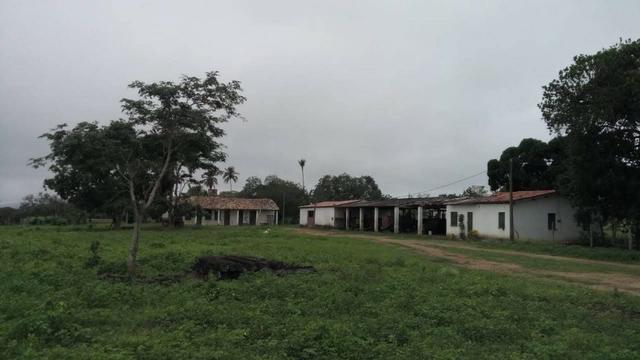 Conjunto de Fazendas Santa Maria - 1.262,5400 ha - Foto 11