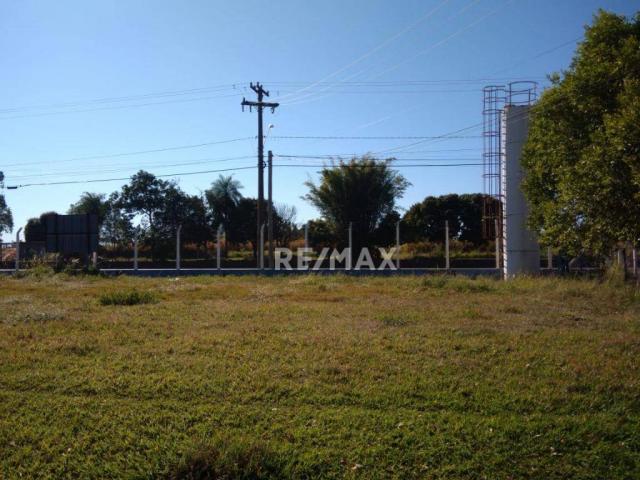 Imóvel comercial a venda no espigão - Foto 18