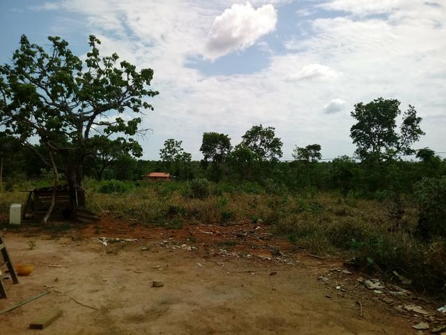 Venda - Foto 3
