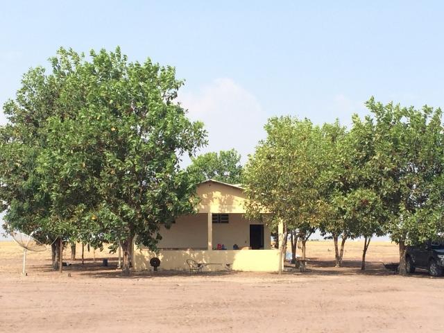 Fazenda em Uruçui Piauí - Foto 11