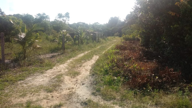 Venda de terreno / chácara