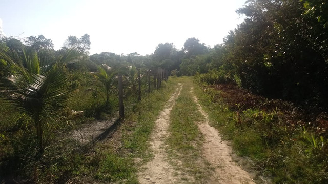 Venda de terreno / chácara - Foto 2