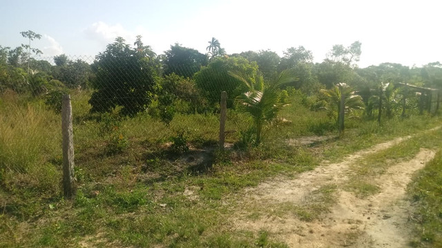Venda de terreno / chácara - Foto 3