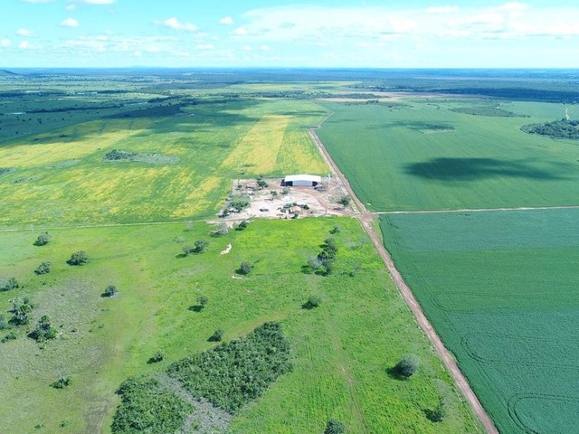 Fazenda de 501 alqueires em Peixe-TO - Foto 2
