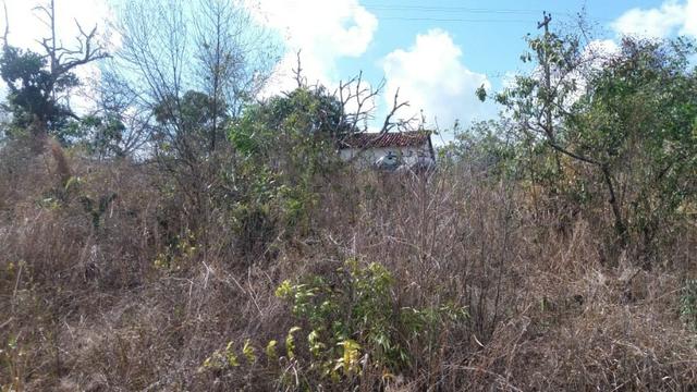 Ótima propriedade, escriturada, de 6 hectares, rica em frutas, em Glória do Goitá-PE - Foto 10