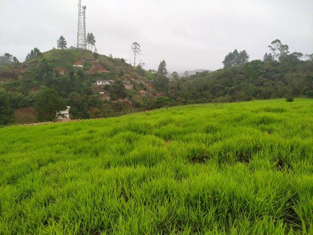 Terreno 40.000m2 em Juquitiba/SP para loteamento - Foto 16